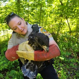 eagle Allysa Ellison